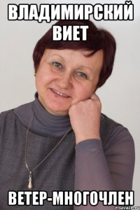 владимирский виет ветер-многочлен