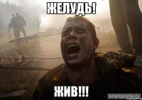Желудь! Жив!!!