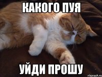 какого пуя уйди прошу