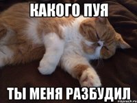 какого пуя ты меня разбудил