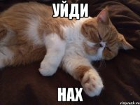 уйди нах