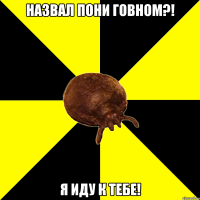НАЗВАЛ ПОНИ ГОВНОМ?! Я ИДУ К ТЕБЕ!