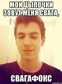 Мои цыпочки зовут меня свага, Свагафокс