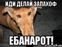 иди делай запахоф ебанарот!