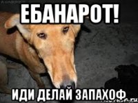 ебанарот! иди делай запахоф