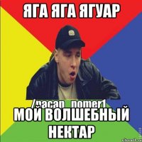 Яга яга ягуар МОЙ ВОЛШЕБНЫЙ НЕКТАР