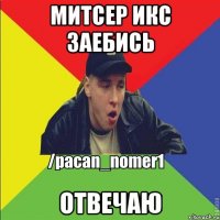 митсер икс заебись отвечаю