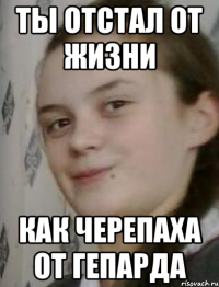 Ты отстал от жизни как черепаха от гепарда