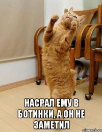  насрал ему в ботинки, а он не заметил