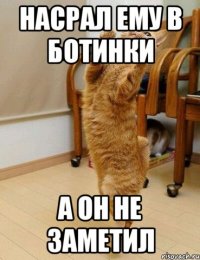 насрал ему в ботинки а он не заметил