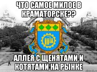 что самое милое в краматорске?? аллея с щенятами и котятами на рынке