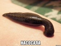  насосала