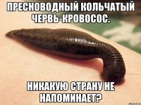 Пресноводный кольчатый червь-кровосос. Никакую страну не напоминает?
