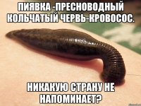 Пиявка -пресноводный кольчатый червь-кровосос. Никакую страну не напоминает?