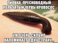 Пиявка -пресноводный кольчатый червь-кровосос. Уж очень сильно напоминает одну страну...