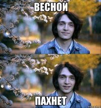 весной пахнет