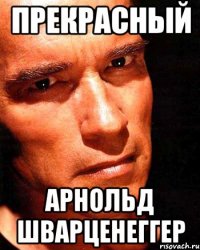 прекрасный Арнольд шварценеггер