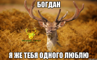БОГДАН Я ЖЕ ТЕБЯ ОДНОГО ЛЮБЛЮ