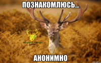 Познакомлюсь... Анонимно