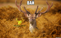 вай 