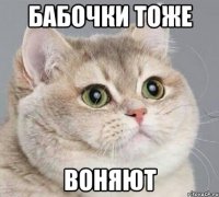 бабочки тоже ВОНЯЮТ