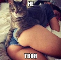 Не Твоя