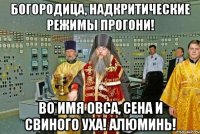 богородица, надкритические режимы прогони! во имя овса, сена и свиного уха! алюминь!