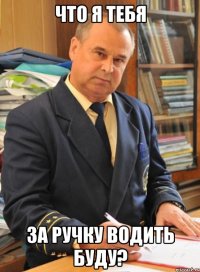что я тебя за ручку водить буду?