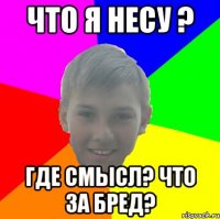 ЧТО Я НЕСУ ? ГДЕ СМЫСЛ? ЧТО ЗА БРЕД?