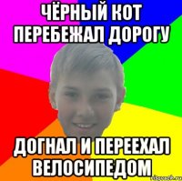 ЧЁРНЫЙ КОТ ПЕРЕБЕЖАЛ ДОРОГУ ДОГНАЛ И ПЕРЕЕХАЛ ВЕЛОСИПЕДОМ