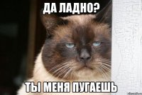 Да ладно? Ты меня пугаешь
