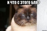 И что с этого бля? 