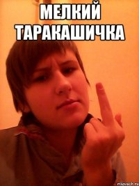 Мелкий таракашичка 