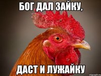 Бог дал зайку, даст и лужайку