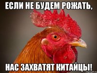 Если не будем рожать, нас захватят китайцы!
