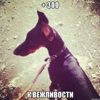 + 300 к вежливости