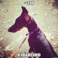 + 300 к уважению
