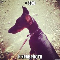 + 300 к храбрости