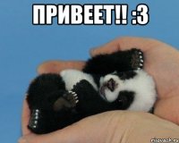 Привеет!! :3 