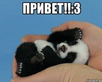 Привет!!:З 