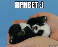 ПРивет :) 