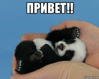 ПРивет!! 