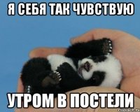 Я себя так чувствую Утром в постели