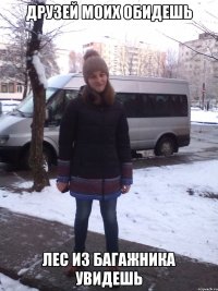 ДРУЗЕЙ МОИХ ОБИДЕШЬ ЛЕС ИЗ БАГАЖНИКА УВИДЕШЬ