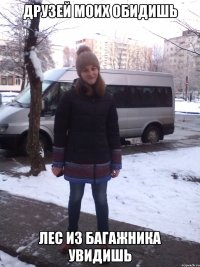 ДРУЗЕЙ МОИХ ОБИДИШЬ ЛЕС ИЗ БАГАЖНИКА УВИДИШЬ
