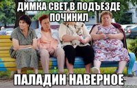Димка свет в подъезде починил Паладин наверное