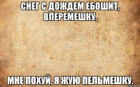Снег с дождем ебошит, вперемешку, Мне похуй, я жую пельмешку.