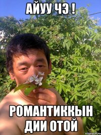 айуу чэ ! романтиккын дии отой