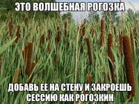 Это волшебная рогозка Добавь ее на стену и закроешь сессию КАК РОГОЗКИН
