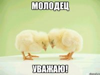 молодец уважаю!